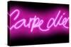 Neon Carpe Diem PB-Hailey Carr-Stretched Canvas