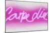 Neon Carpe Diem PW-Hailey Carr-Mounted Art Print