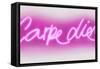 Neon Carpe Diem PW-Hailey Carr-Framed Stretched Canvas