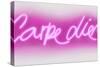 Neon Carpe Diem PW-Hailey Carr-Stretched Canvas
