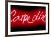 Neon Carpe Diem RB-Hailey Carr-Framed Art Print