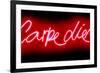 Neon Carpe Diem RB-Hailey Carr-Framed Art Print