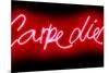 Neon Carpe Diem RB-Hailey Carr-Mounted Art Print