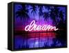 Neon Dream Beach PB-Hailey Carr-Framed Stretched Canvas