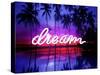 Neon Dream Beach PB-Hailey Carr-Stretched Canvas