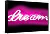 Neon Dream PB-Hailey Carr-Framed Stretched Canvas