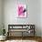 Neon Flamingos I-Jennifer Paxton Parker-Mounted Art Print displayed on a wall