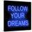 Neon Follow Your Dreams BB-Hailey Carr-Stretched Canvas