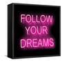 Neon Follow Your Dreams PB-Hailey Carr-Framed Stretched Canvas