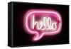 Neon Hello PB-Hailey Carr-Framed Stretched Canvas