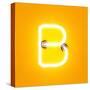 Neon Light Alphabet Character B Font. Neon Tube Letters Glow Effect on Orange Background. 3D Render-dencg-Stretched Canvas