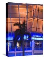 Neon Light and Palm, South Beach, Miami, Florida-Walter Bibikow-Stretched Canvas