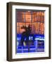 Neon Light and Palm, South Beach, Miami, Florida-Walter Bibikow-Framed Photographic Print