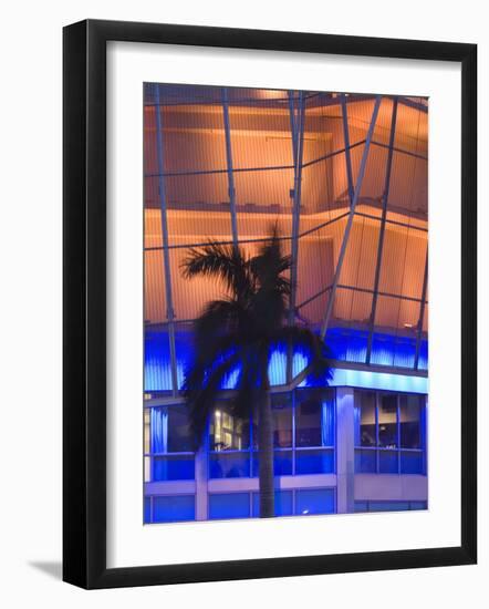 Neon Light and Palm, South Beach, Miami, Florida-Walter Bibikow-Framed Photographic Print