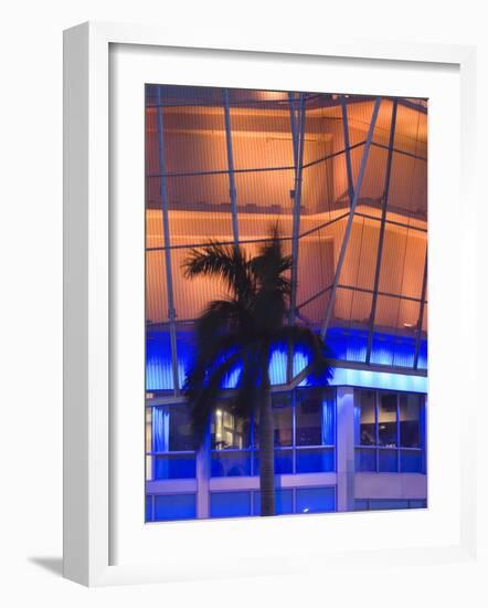 Neon Light and Palm, South Beach, Miami, Florida-Walter Bibikow-Framed Photographic Print