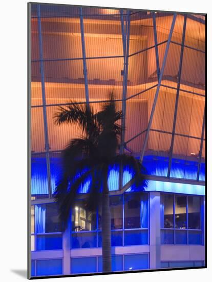 Neon Light and Palm, South Beach, Miami, Florida-Walter Bibikow-Mounted Photographic Print