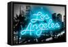 Neon Los Angeles AB-Hailey Carr-Framed Stretched Canvas