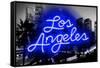 Neon Los Angeles BB-Hailey Carr-Framed Stretched Canvas