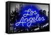 Neon Los Angeles BB-Hailey Carr-Framed Stretched Canvas