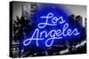 Neon Los Angeles BB-Hailey Carr-Stretched Canvas