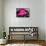 Neon Los Angeles PB-Hailey Carr-Mounted Art Print displayed on a wall