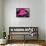 Neon Los Angeles PB-Hailey Carr-Framed Stretched Canvas displayed on a wall