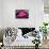 Neon Los Angeles PB-Hailey Carr-Framed Stretched Canvas displayed on a wall