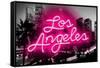 Neon Los Angeles PB-Hailey Carr-Framed Stretched Canvas