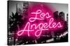 Neon Los Angeles PB-Hailey Carr-Stretched Canvas