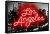 Neon Los Angeles RB-Hailey Carr-Framed Stretched Canvas