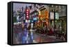 Neon Market Street, Guilin, China-Darrell Gulin-Framed Stretched Canvas