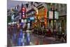 Neon Market Street, Guilin, China-Darrell Gulin-Mounted Premium Photographic Print