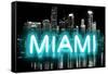 Neon Miami AB-Hailey Carr-Framed Stretched Canvas