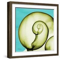 Neon Moonsnail-Albert Koetsier-Framed Art Print