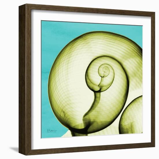 Neon Moonsnail-Albert Koetsier-Framed Art Print