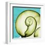 Neon Moonsnail-Albert Koetsier-Framed Art Print