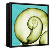 Neon Moonsnail-Albert Koetsier-Framed Stretched Canvas