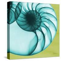 Neon Nautilus-Albert Koetsier-Stretched Canvas