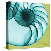 Neon Nautilus-Albert Koetsier-Stretched Canvas