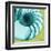 Neon Nautilus-Albert Koetsier-Framed Art Print