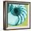 Neon Nautilus-Albert Koetsier-Framed Art Print