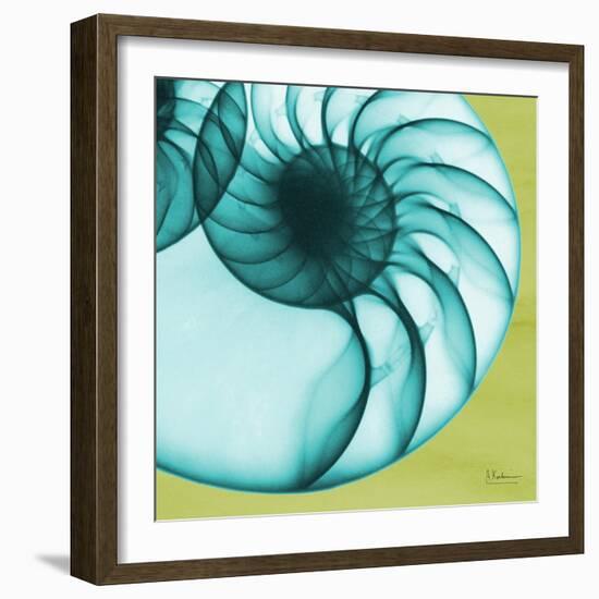 Neon Nautilus-Albert Koetsier-Framed Art Print