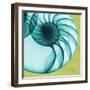 Neon Nautilus-Albert Koetsier-Framed Art Print