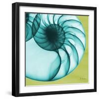 Neon Nautilus-Albert Koetsier-Framed Art Print