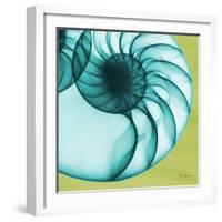 Neon Nautilus-Albert Koetsier-Framed Art Print