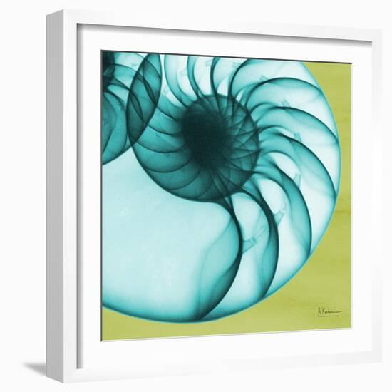 Neon Nautilus-Albert Koetsier-Framed Art Print