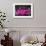 Neon New York City PB-Hailey Carr-Framed Art Print displayed on a wall