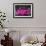 Neon New York City PB-Hailey Carr-Framed Art Print displayed on a wall