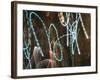 Neon Nights-Bill Philip-Framed Giclee Print