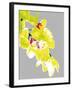 Neon Orchid I-Sukhanlee-Framed Giclee Print